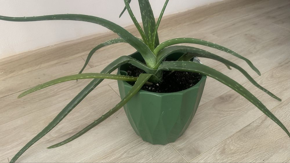 Срочно, все за 20 тыс. тенге