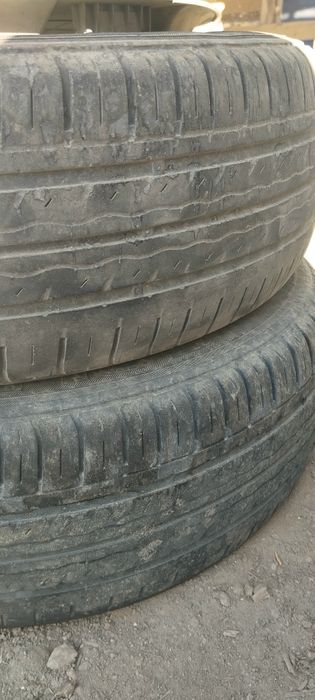 14likdiska boloʻn  sotiladi