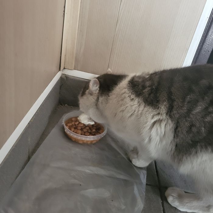 Подарите мне дом!