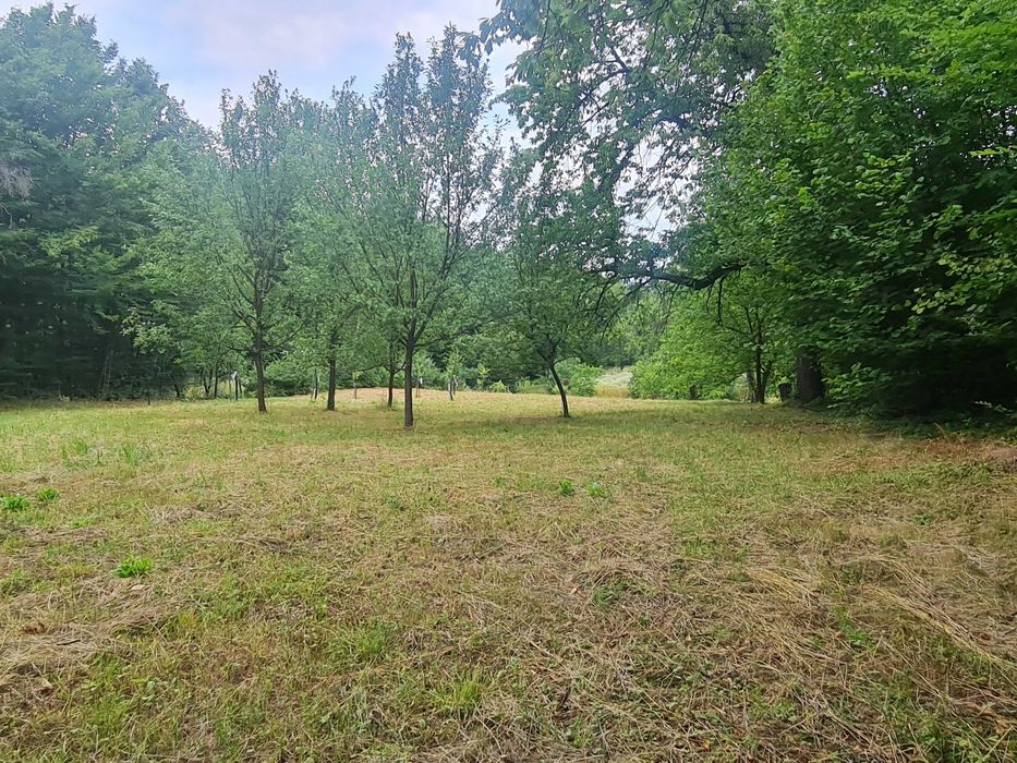 Teren  pt cabana 5-10 - 20 ari , la 750 eu arul, la 10 km de Baia Mare