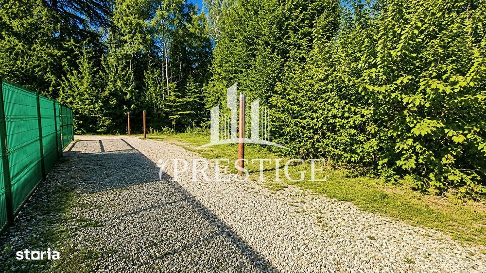 Teren Intravilan De Vânzare | Valea Avrigului | 744 Mp