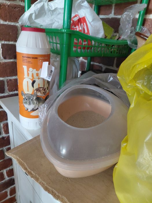 Шиншилла мальчик 6 мес + клетка