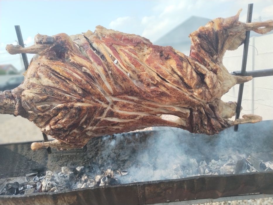 servicii complete pentru evenimente – baboy events