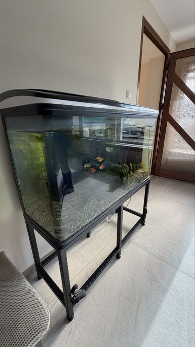 Оборудван аквариум 160л