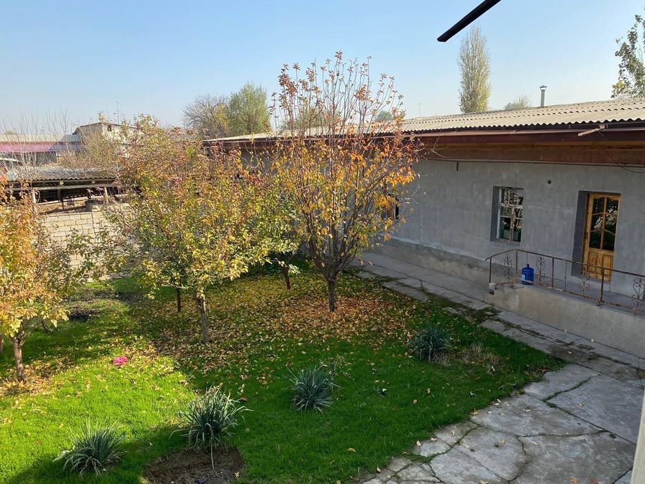 Toshkent tumani qoplonbey tamojniy