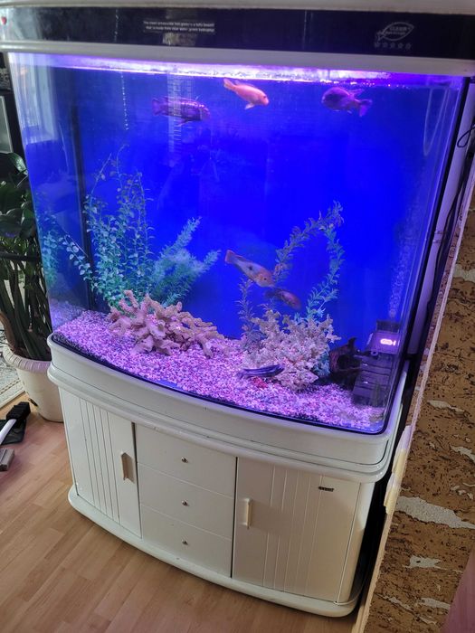 Продам Аквариум 400 л