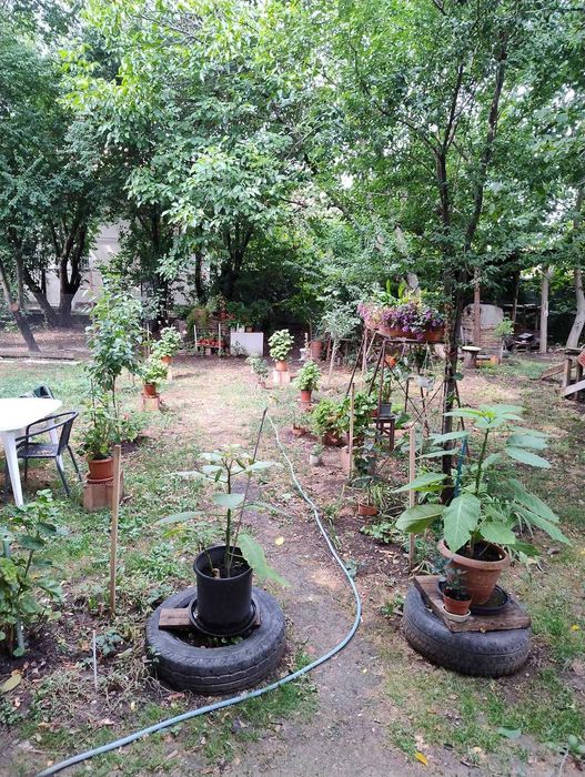 inchiriez garsoniera in Timisoara, zona Plopi, linia E8