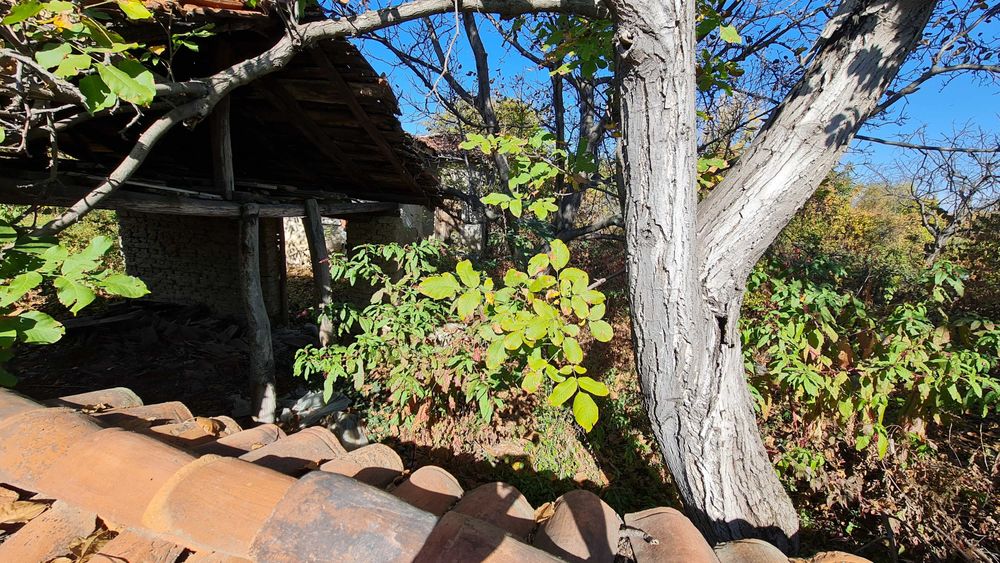 Продава се Къща в с. Злокучене, Област Пазарджик - 80 кв.м за 313 €/кв.м - Снимка #10