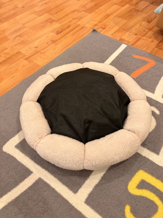 Аксесоари за коте