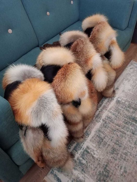 Малахай, шапка ушанка