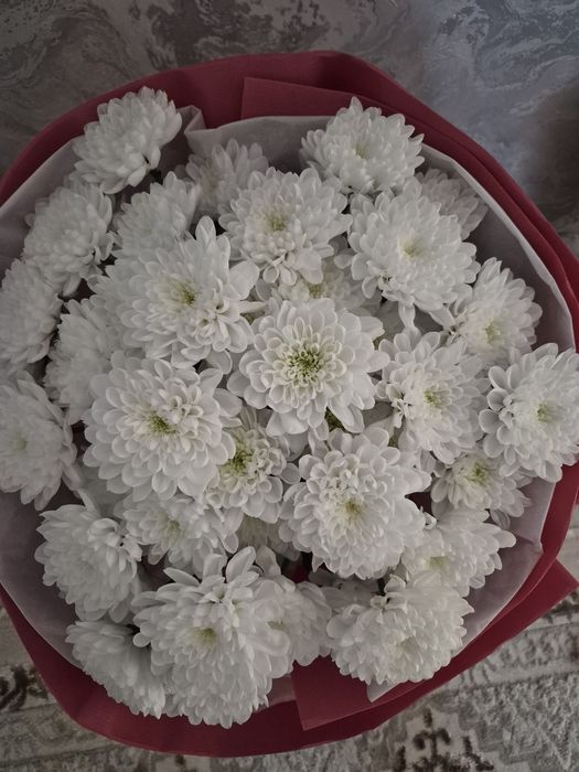 Продам цветочки красивые