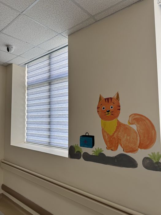 жалюзи jalyuzi.