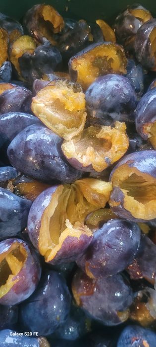 Magiun de prune/silvoită