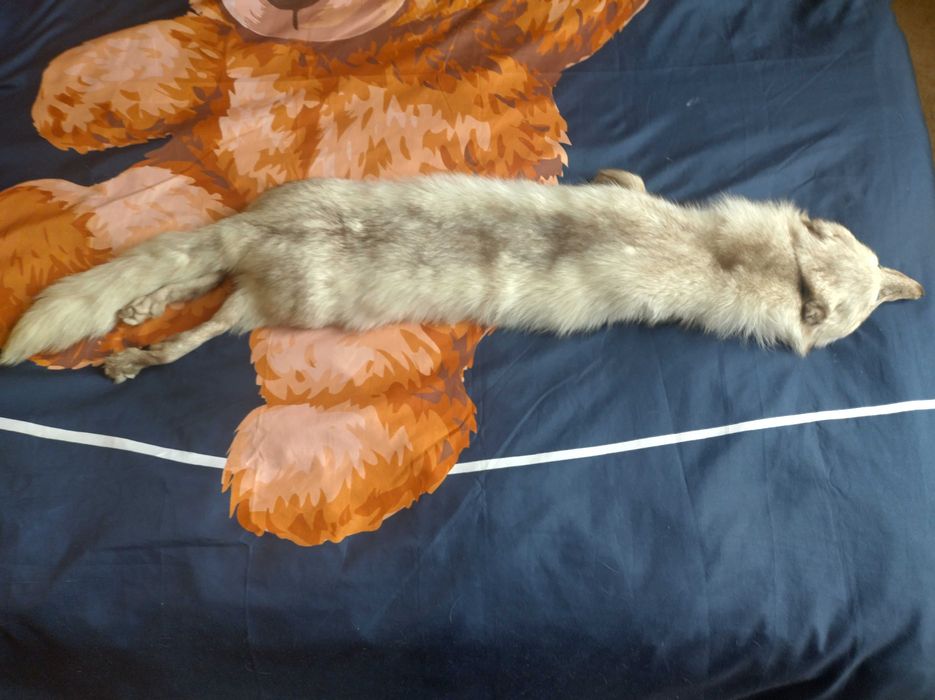 Шал от бяла лисица