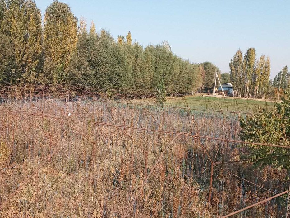 Диккат TЕПЛИЦА срочно сотилади