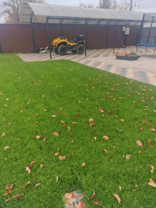 Газон рулонный посевной