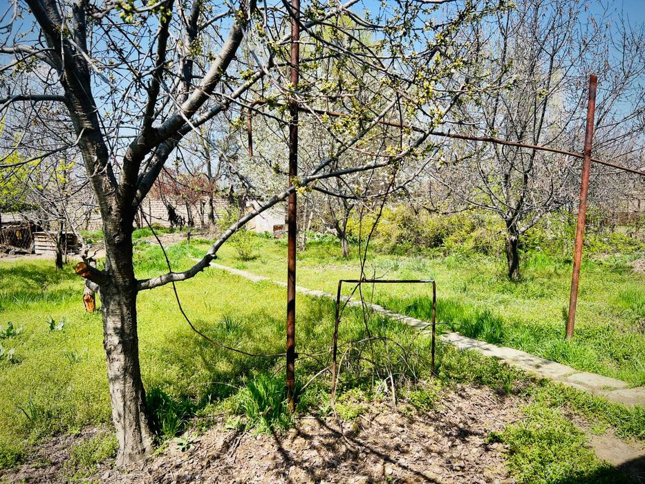 Дом на участке 15 соток. Мирзо Улугбекский район (Чингелди)