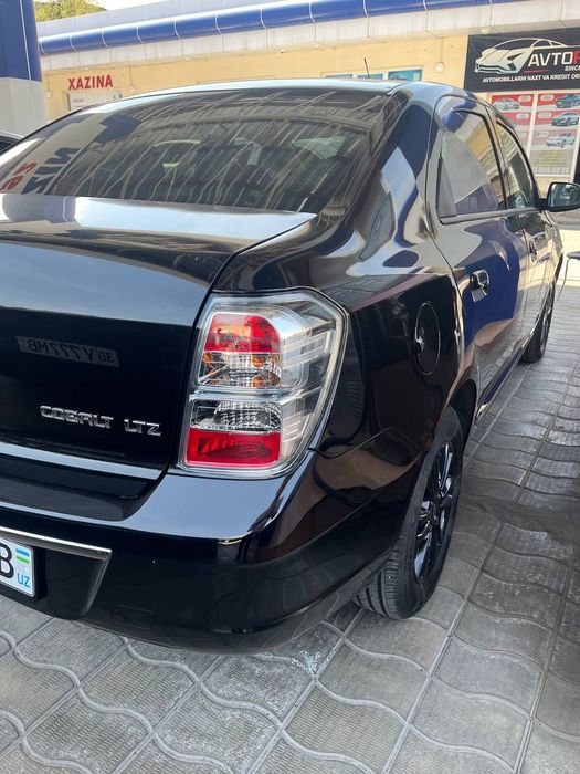 Cobalt midnight  2025