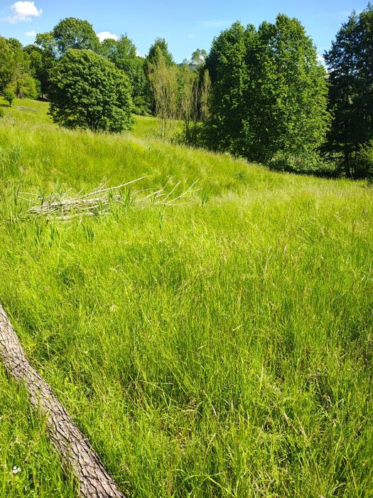 Teren extravilan com. Nucşoara