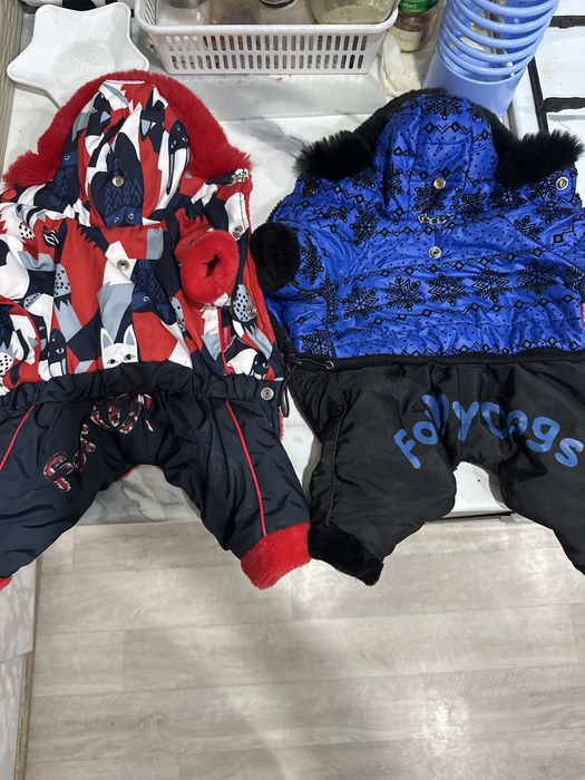 Продам костюмы для собак