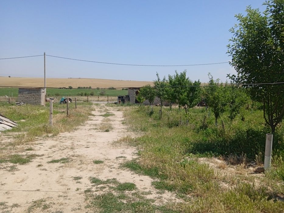 Үй сатылады тез арада келісім бар