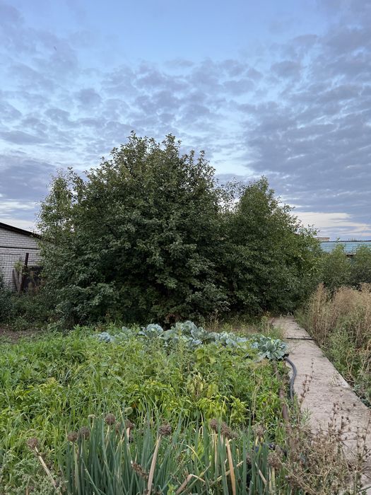 Дача в городе. Телецентр!