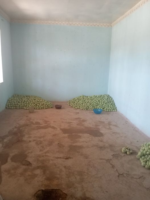 12 сотих Ховли сотилади..