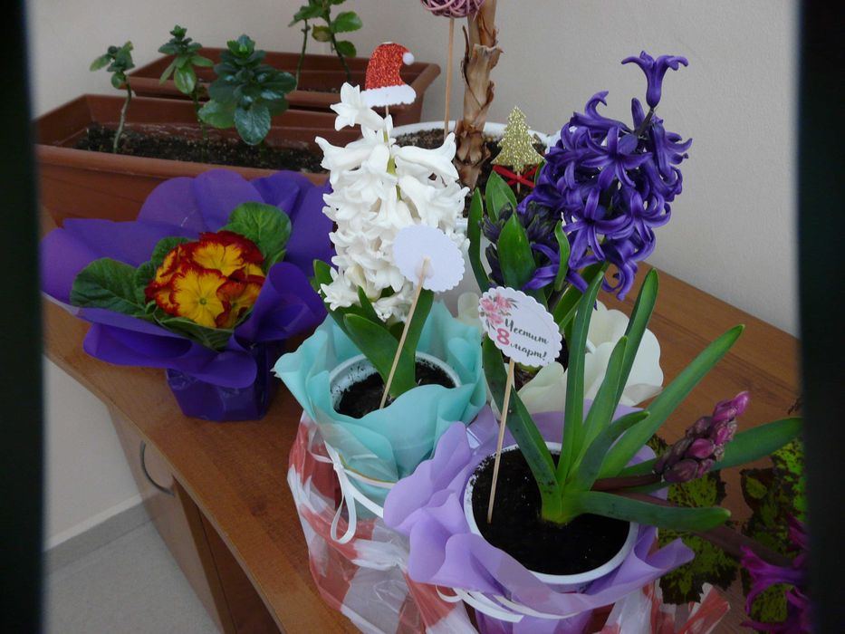 Panasonic Lumix FZ - 18