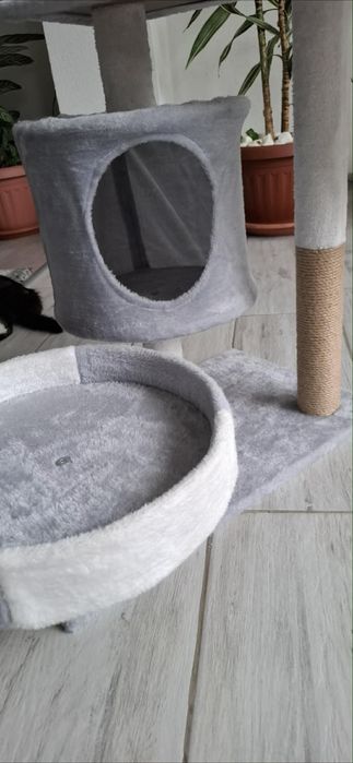 Катерушка за котка