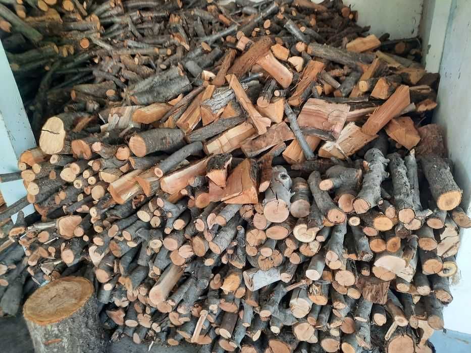 Утин мевали дарахтники | отин | otin | дрова