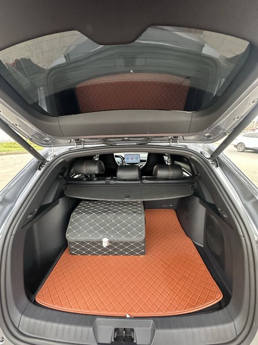 BYD Champion 150 Km Gbrid 2024