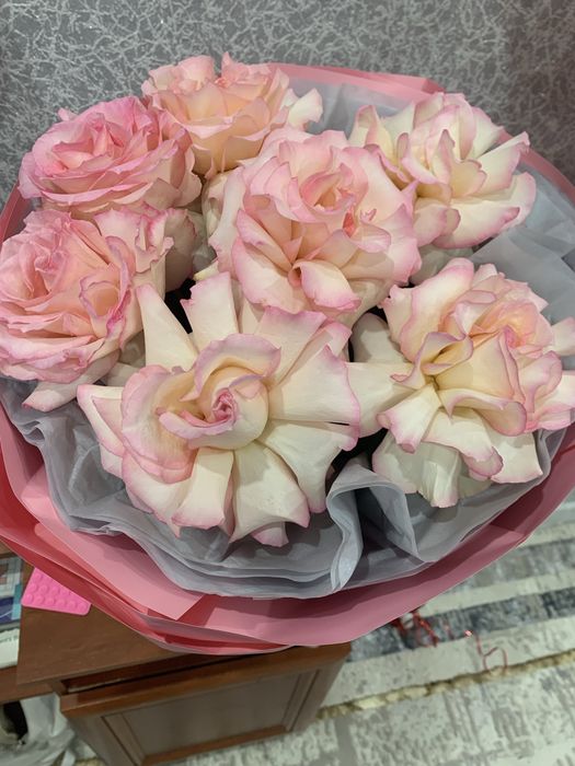 Цветы продам срочно