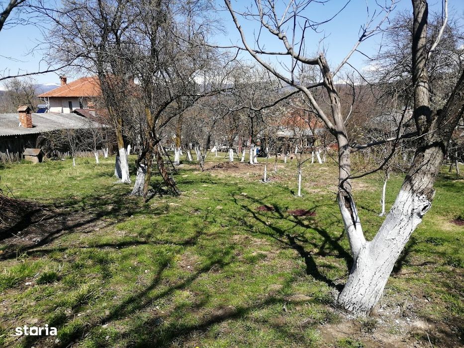 Casa individuala, teren 2.600 mp