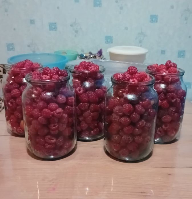 Саженцы Малины ремонтантной,Сливы