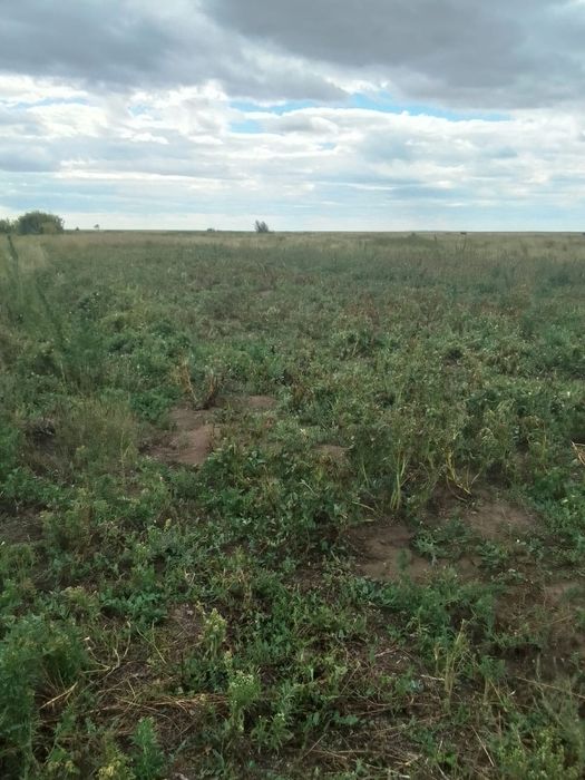 Продам дом в хорошем состоянии