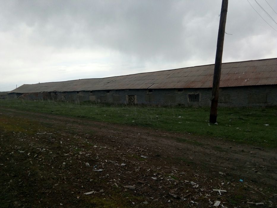 Продам дворы сСекисовка