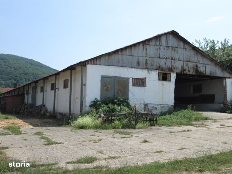 Teren agricol de 12 579 mp si contructii 5 161 mp