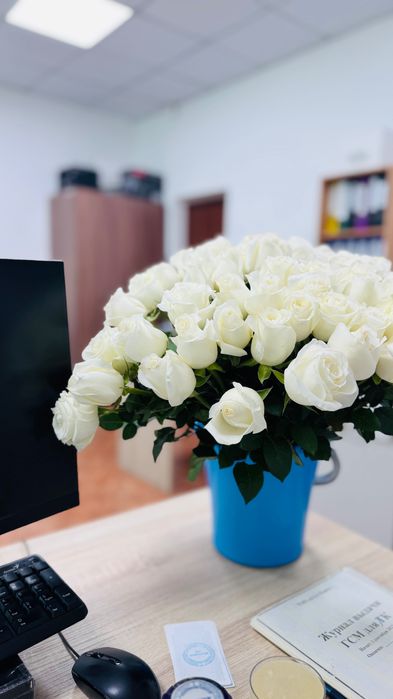 Букет белых роз 51шт