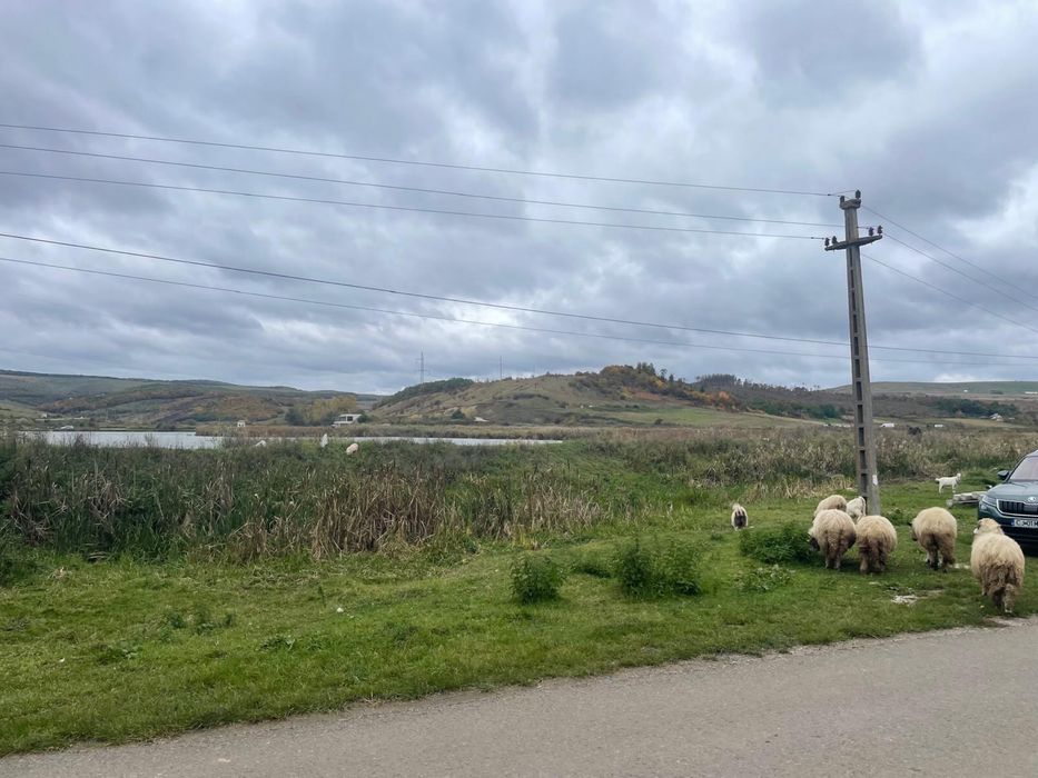 Teren intravilan 1.608 mp Mărtinești – lac în față