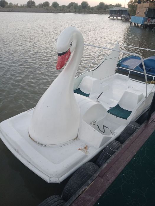 Lotka kema suvda suzish uchun