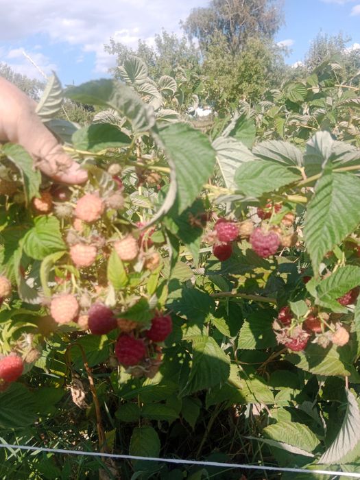 Продам срочно дом