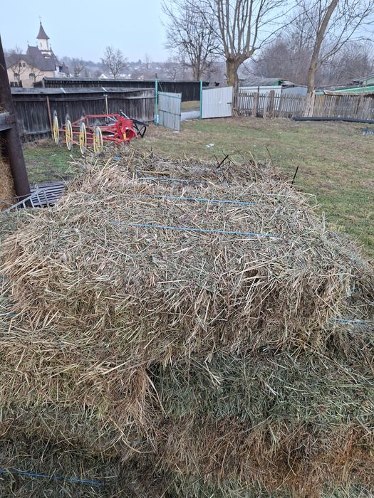 Baloti fan de vanzare