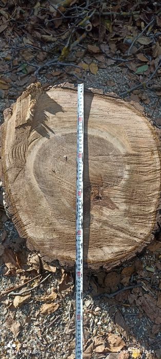 Орехов материал  .