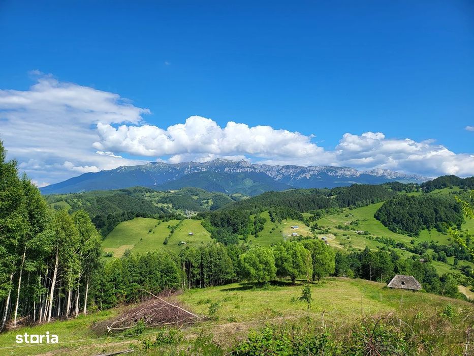 Teren 3 ha Moieciu de Jos | Drumul Carului I Panoramă | Utilitati