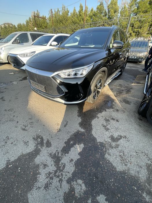 Byd Song plus 2023/24