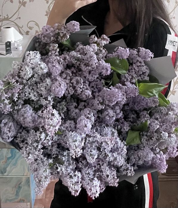 Апрельская сирень