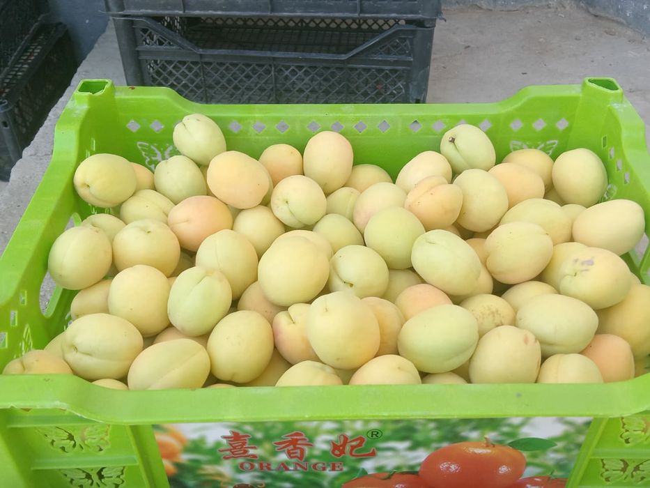 Продаётся урюк сушёный