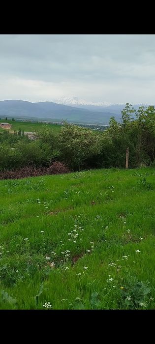 Oq toshda yer sotiladi