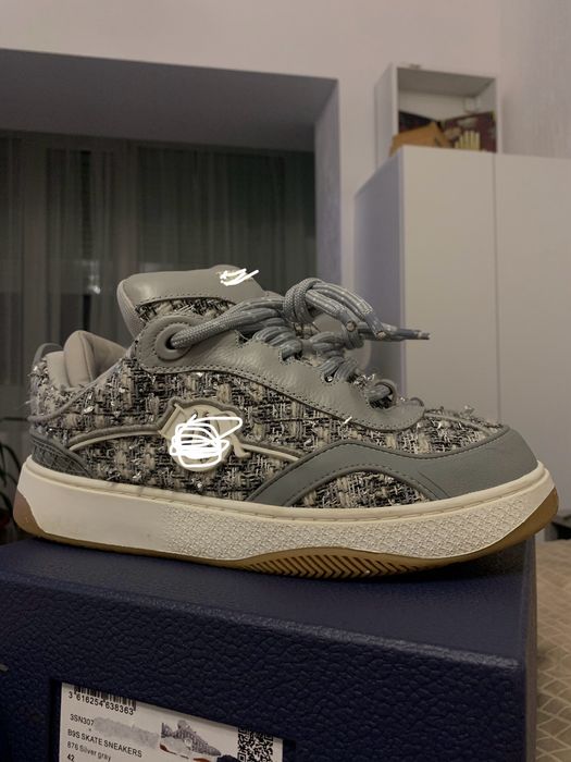 Dior B9s silver skate