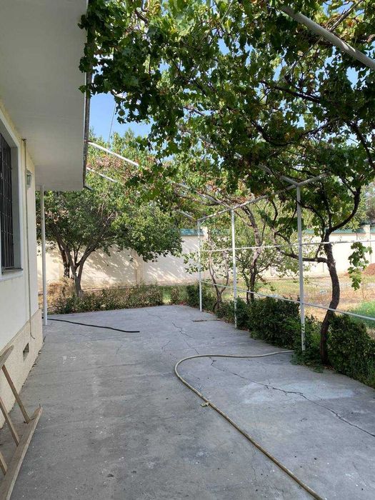 Дача Пулотдахгом 20 сотых  все условия